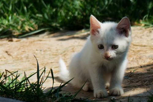 ޵ǵ1 ڹ˹Ǻ˵վݹر