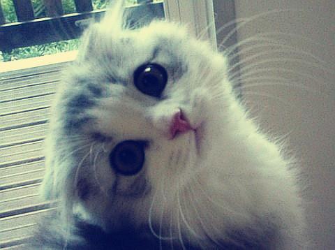 ӡȶس̨ʩϿף ǿ